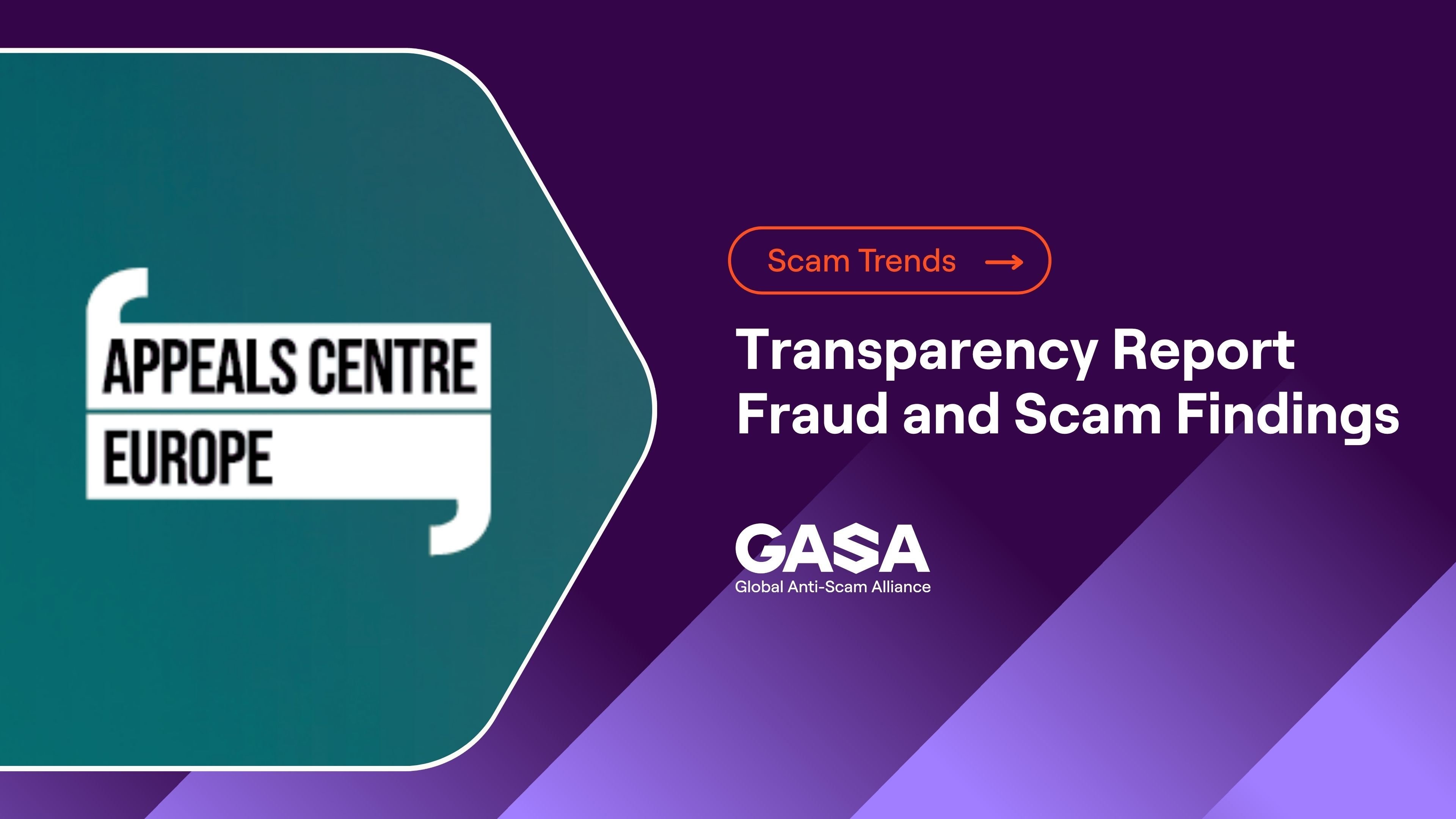 Transparency Report Fraud and Scam Findings