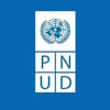 pnud mexico