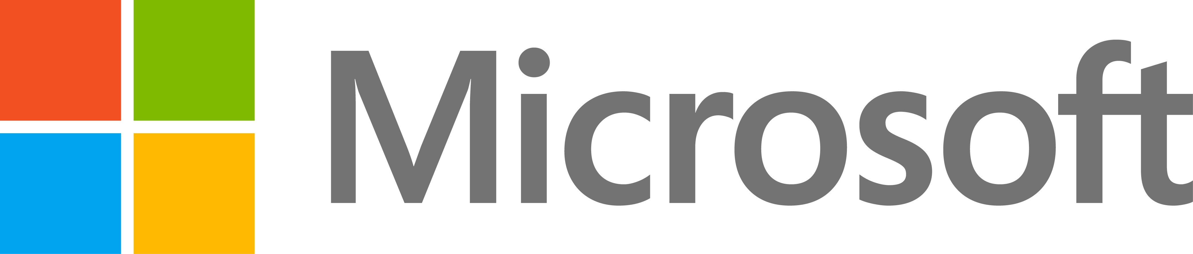 Microsoft_(6)-01